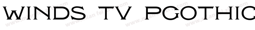 winds tv PGothic字体转换